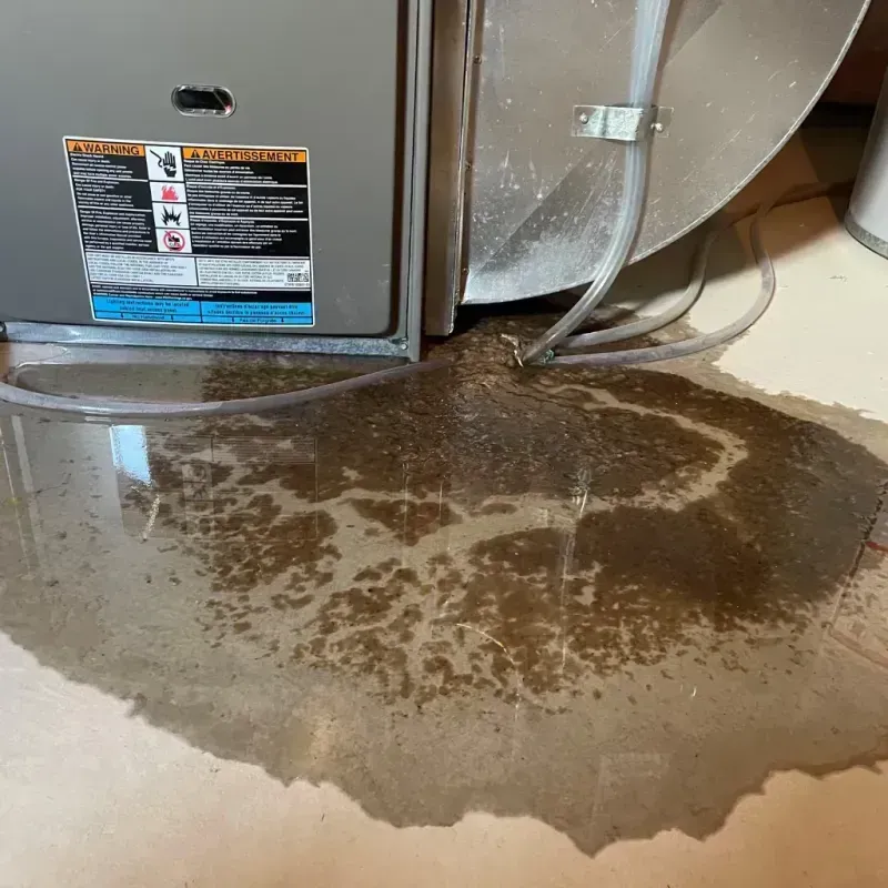 Appliance Leak Cleanup in Vandercook Lake, MI